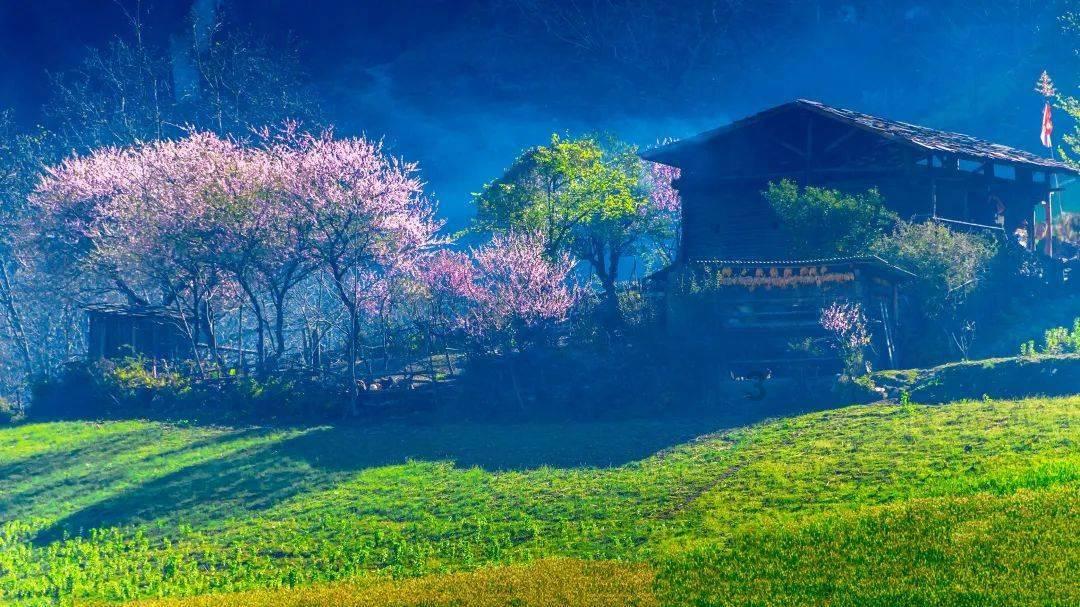 拯救蝙蝠家族