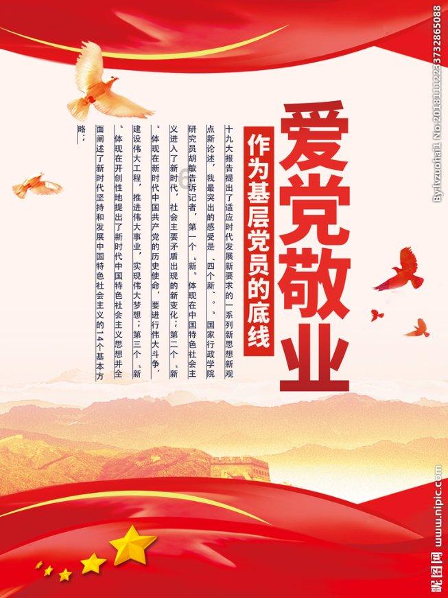 忍者鲨鱼