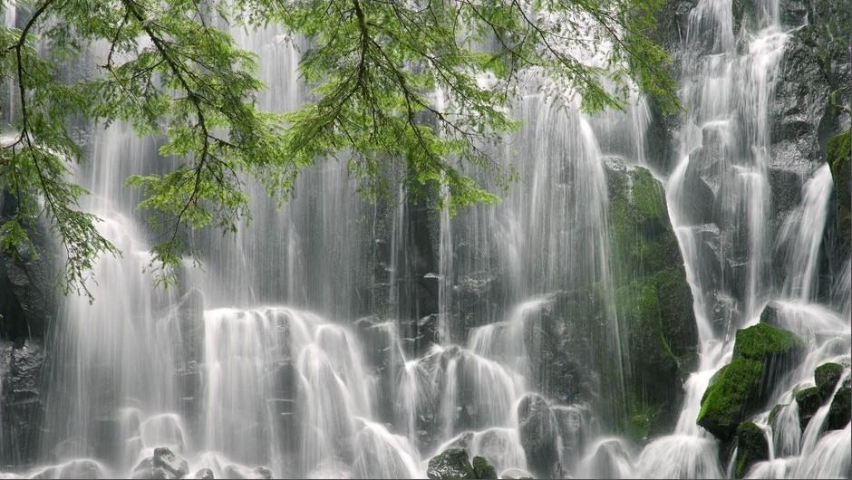 逃离绿色山谷
