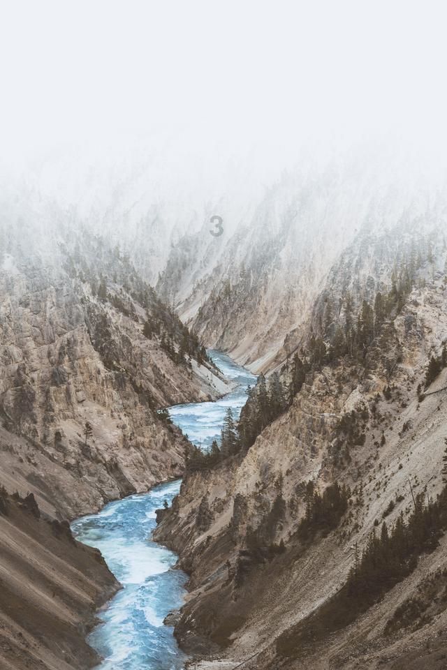 公主的阅读区